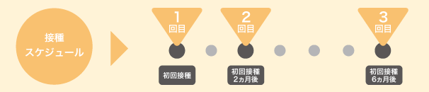 接種スケジュール