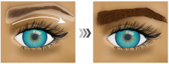 眉毛美容液 PeloBaum Brow Brow